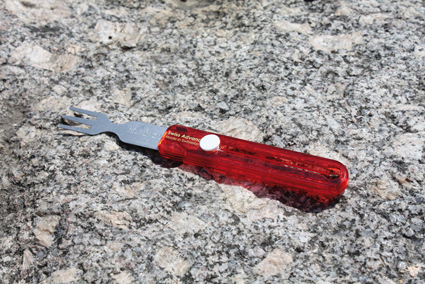 HIPPUS Gabel rot